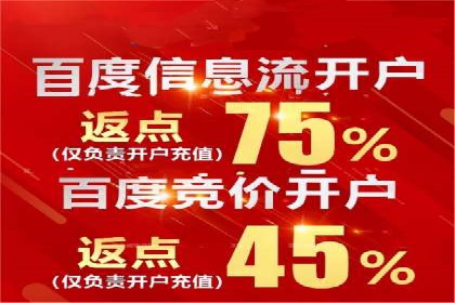 百度竞价广告投放成功案例解析